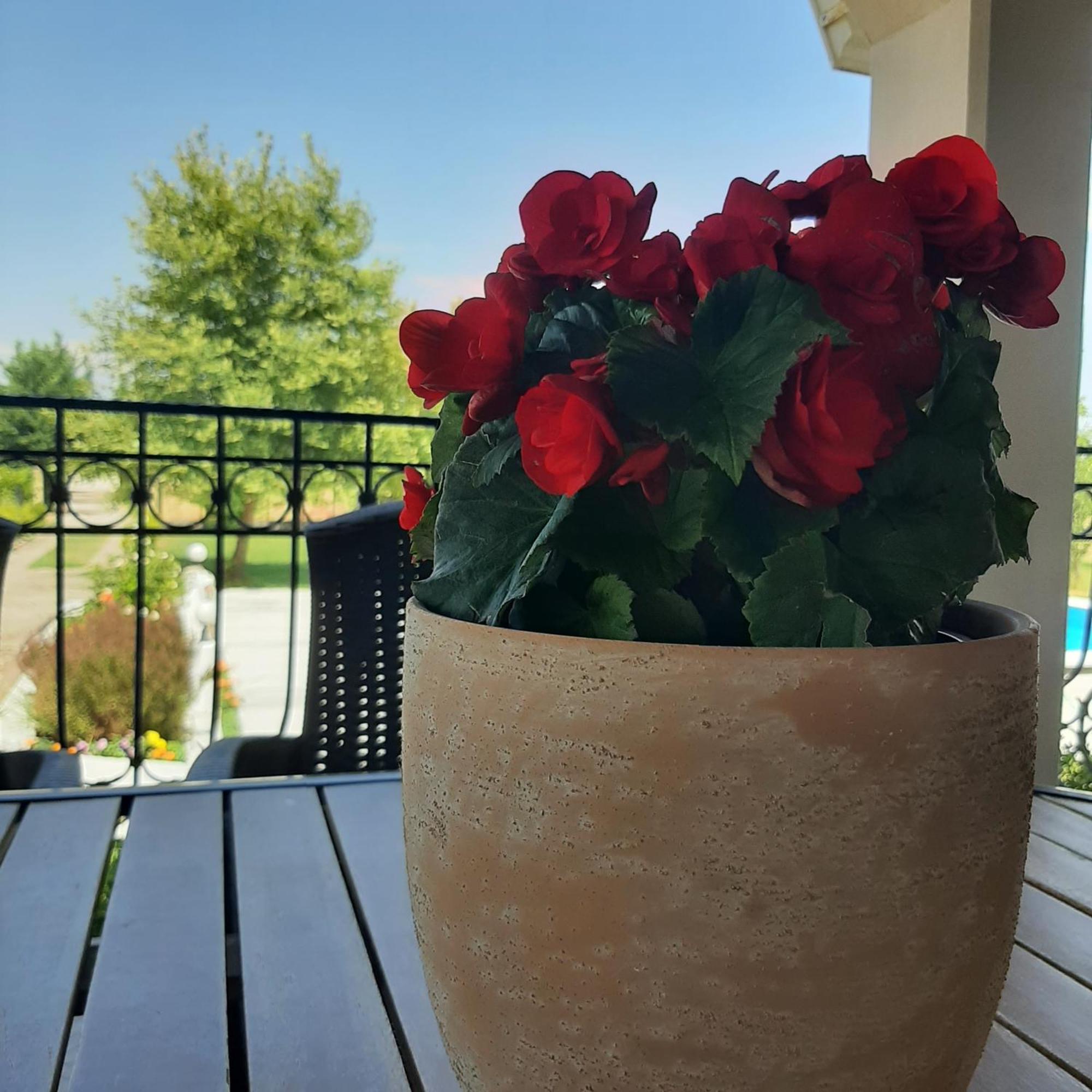 Αρχοντικό Παπανικολάου Villa Ligaria  Exteriör bild