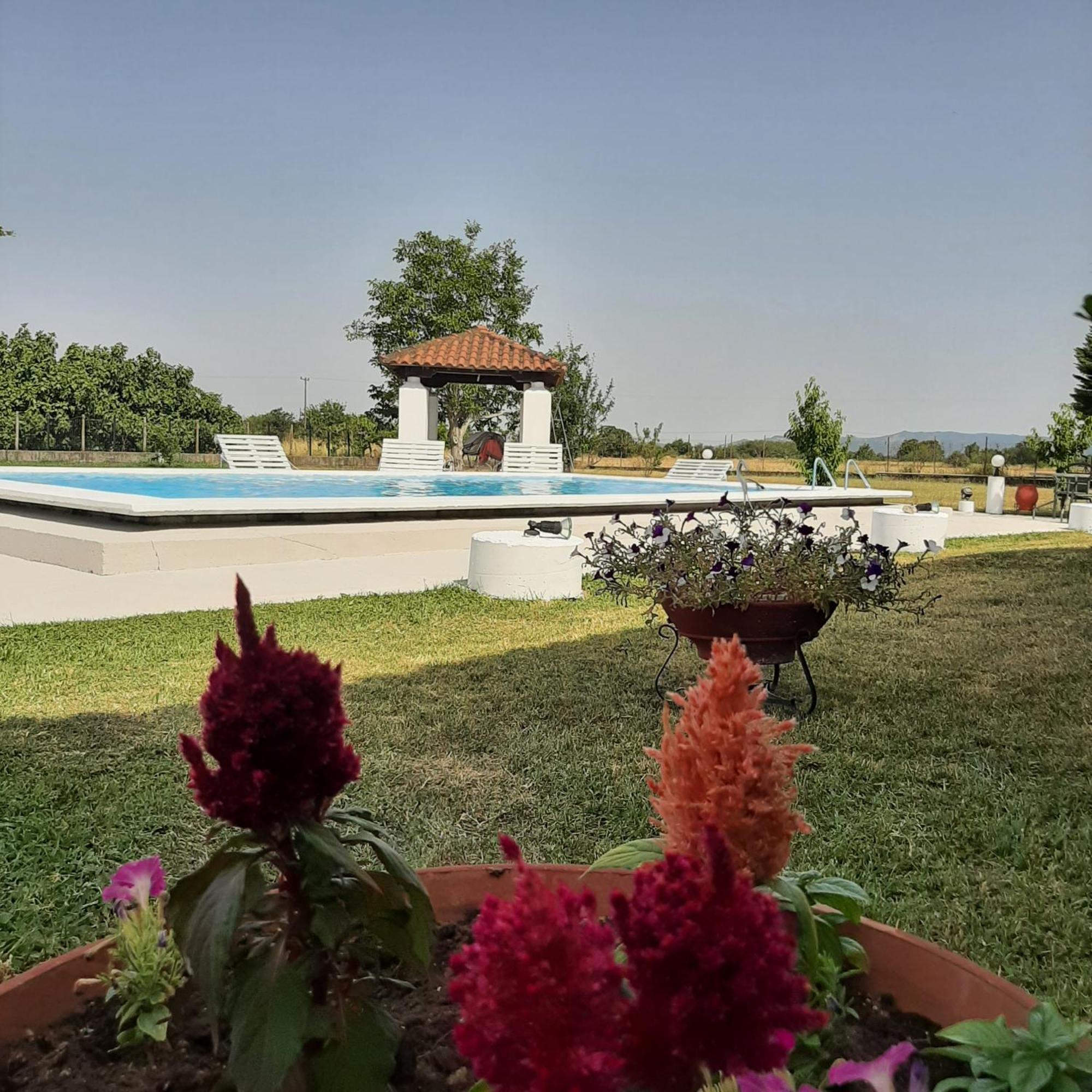 Αρχοντικό Παπανικολάου Villa Ligaria  Exteriör bild